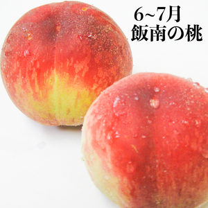 果物を贅沢に味わう 丸亀のフルーツ定期便 全6回 キウイ いちご 不知火 桃 シャインマスカット みかん さぬきひめ さぬき紅みかん 香緑 香川県 丸亀市