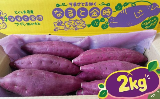 なると金時 2kg サイズ 不揃い さつまいも 鳴門金時 国産 スイーツ 焼き芋 焼芋 焼いも 干し芋 ギフト 贈り物 お土産 サツマイモ 徳島 