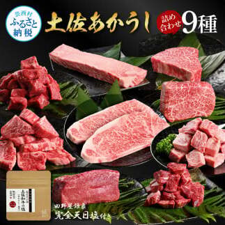 特選 土佐あかうし 長期熟成肉 9種 詰め合わせセット 田野屋銀象 完全天日塩付き 牛肉 肉 お肉 和牛 国産 牛 赤身 ヒレ カルビ ロース ステーキ スネ肉【株式会社LATERAL】 [BQAU0