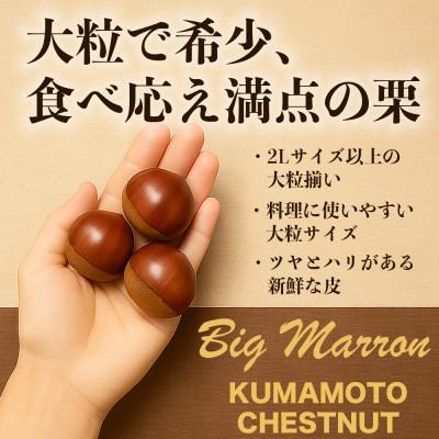 ふるさと納税 益城町 生栗 大粒 2L以上 約3kg(益城町) |  | 01