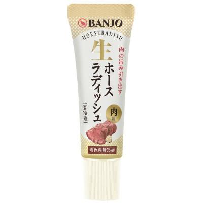 ふるさと納税 三島市 生ホースラディッシュ　1本(25g)×10本