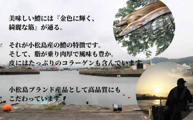 （調理例）ハモの天ぷら