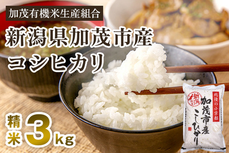 【令和7年産新米先行予約】新潟県加茂市産コシヒカリ 精米3kg 白米 加茂有機米生産組合 新潟県産コシヒカリ 米 お米