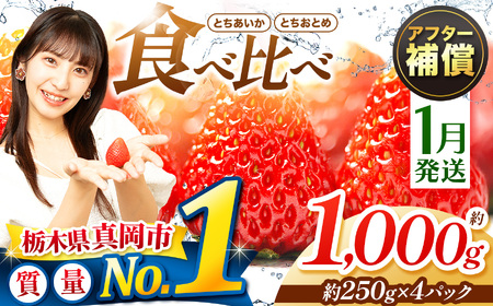 【1月発送】いちご とちおとめ・とちあいか 食べ比べ 1000g