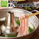 【ふるさと納税】定期便 全6回 たまご 鹿児島黒牛 茶美豚 牛肉 カタロース 豚肉 バラ スライス 黒豚餃子 黒豚しそ餃子 黒豚水餃子 知覧茶 うなぎ 切り餅 よもぎ餅 白餅 紅白餅 肉 しゃぶしゃぶ 料理 食品 南九州市 お取り寄せ 送料無料