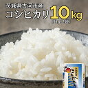 【ふるさと納税】新米 令和6年産 古河市のお米 コシヒカリ 10kg(5kg×2袋） ※着日指定可 | 米 こめ コメ 10キロ こしひかり コシヒカリ 古河市産 茨城県産 贈答 贈り物 プレゼント 茨城県 古河市 直送 産地直送 送料無料 着日指定可 着日指定OK ギフト お祝 景品 _DP90