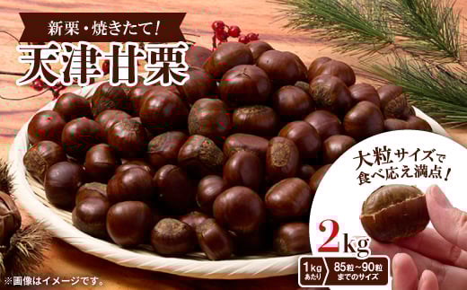 
            ＜2kg＞新栗ビックサイズ!!焼きたて!!天津甘栗　大粒サイズ　期間限定でお届けします。_ 栗 くり 甘栗 天津甘栗 おやつ スイーツ 焼きたて 甘い 菓子 お菓子 マロン 常温 送料無料 人気 おすすめ お取り寄せ 大粒 新栗 限定【1510517】
          