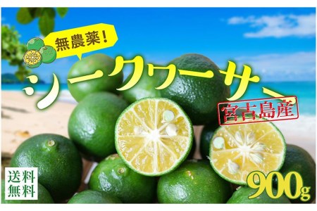 沖縄・宮古島産｜シークワーサー（900g）生果実 青切り【2025年夏発送】