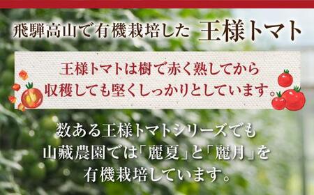 【2024年夏 先行予約】（8月上旬から順次発送予定）飛騨高山産 有機トマト「王様トマト」3kg 大玉トマト 麗月 れおん 野菜 樹熟 山藏農園 飛騨高山 TR3728