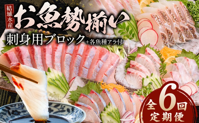 【6ヶ月定期便】(冷蔵)結城水産のお魚勢ぞろい！お刺身用ブロック N015-YF092