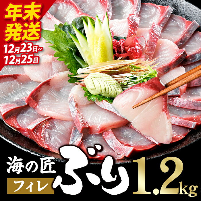 【ふるさと納税】＼年末発送！先行予約／海の匠 ブリ フィレ (1.2kg) ぶり 鰤 刺身 国産 魚 海産物 海鮮丼 ぶりしゃぶ 冷蔵 【JP004-1223】【三共物商】