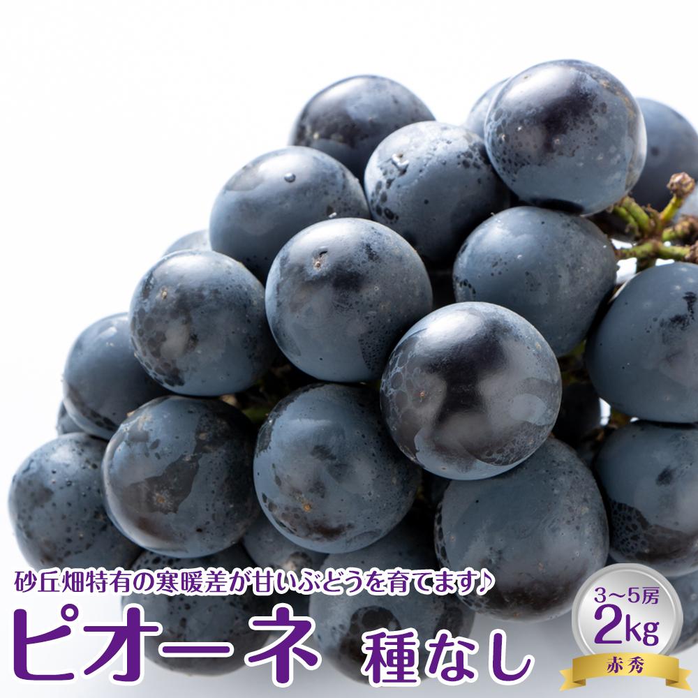 【ふるさと納税】【先行予約】【JA】　ピオーネ（種なし）赤秀2kg箱（3～5房入）　※着日指定不可　※離島への配送不可　※2026年8月初旬頃～8月下旬頃に順次発送予定 | ぶどう ブドウ 葡萄 ピオーネ 種なし 種無し 2kg フルーツ くだもの 果物 先行予約 おすすめ 人気