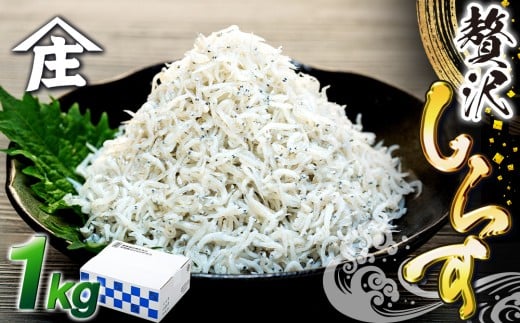 しらす 1kg ( 1kg × 1箱 ) 冷凍 贅沢 ちりめん しらす干し 減塩 釜揚げ ごはん 丼 パスタ チャーハン サラダ 魚  シラス sirasu しらすごはん シラス しらす シラス丼 shirasu sirasu SIRASU 人気シラス 海鮮 魚 魚貝 料理 山庄 愛知県 南知多町 師崎 シラス 美味しいしらす げきうましらす 南知多産しらす しらす丼 しらすパスタ 人気しらす