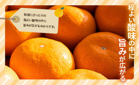 訳あり(家庭用) サイズお任せ 極早生みかん 5kg 3S〜Mサイズ - 訳アリ フルーツ 果物 くだもの 果実 甘い あまい 酸味 蜜柑 ミカン 柑橘 ご自宅用 旬 季節 かなや農園 合同会社Ben