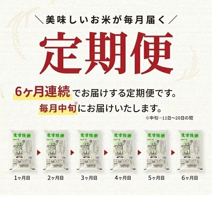 SG0160　11月中旬発送開始／【6回定期便】令和8年産【精米】特別栽培米『はえぬき』5kg×6回(計30kg) ［減農薬・減化学肥料］ MA
