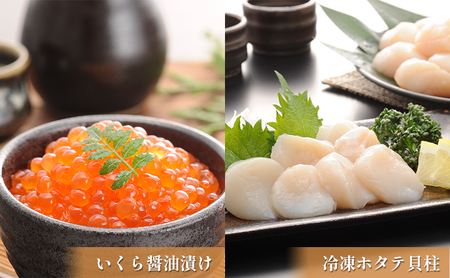 オホーツク枝幸の恵 高田商店《極》セット 【 魚貝類 いくら 魚卵 帆立 ホタテ サーモン 鮭 北海道 オホーツク 枝幸 】