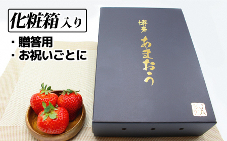 【先行予約】1月より順次発送！「博多あまおう」EX　贈答用化粧箱　約450g 2箱【ほたるの里】_HA0753
