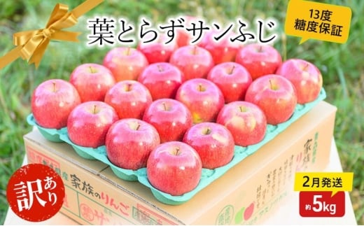 【 2月発送 】糖度13度以上 訳あり品 家庭用 葉とらず サンふじ 約 5kg 【 青森りんご 】 果物 フルーツ 食後 デザート 青森県産 産地直送