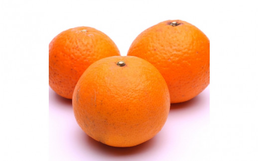 ＜2月より発送＞厳選 清見オレンジ2.5kg+250g（傷み補償分）【光センサー食頃出荷】【樹上完熟きよみオレンジ・清見タンゴール・清美】/ みかん くだもの 果物 オレンジ 和歌山 フルーツ きよみオレンジ【ikd165B】