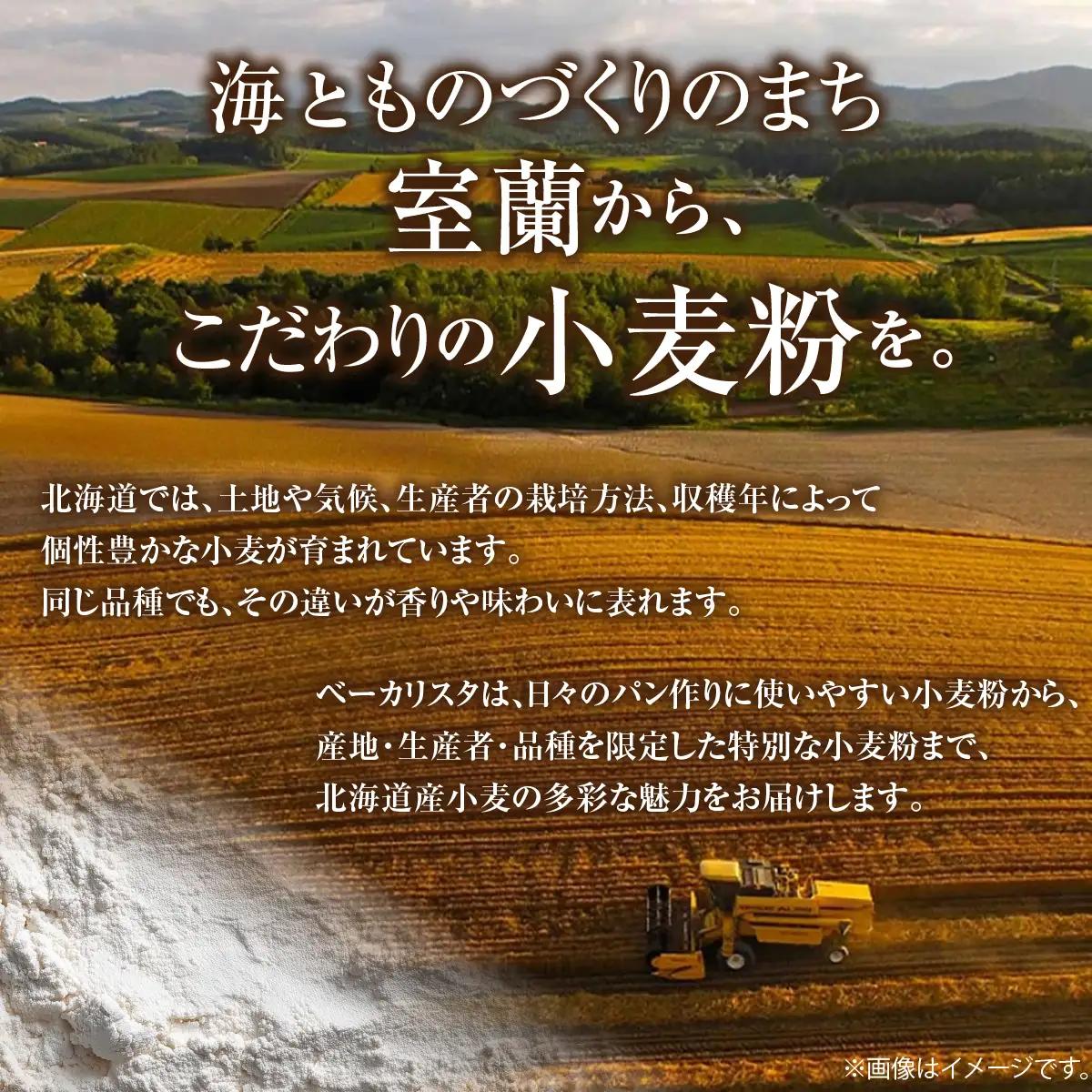 【毎月定期便】北海道産 小麦粉 スペルト小麦全粒粉 ディンケルスター 5kg 全4回 MROBI020