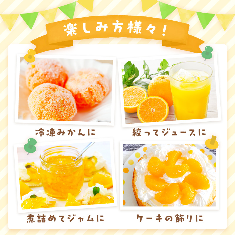 佐賀産せとか 約3kg (7-12玉) (伊万里市) 柑橘類 147-B801_イメージ4