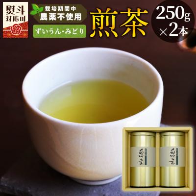 ふるさと納税 東白川村 栽培期間中 農薬不使用! 煎茶 ギフト NO.3 (ずいうん みどり各250g) 常磐園 日本茶