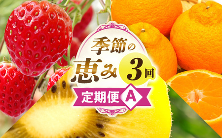 季節の恵み3回定期便A_mk165-t016