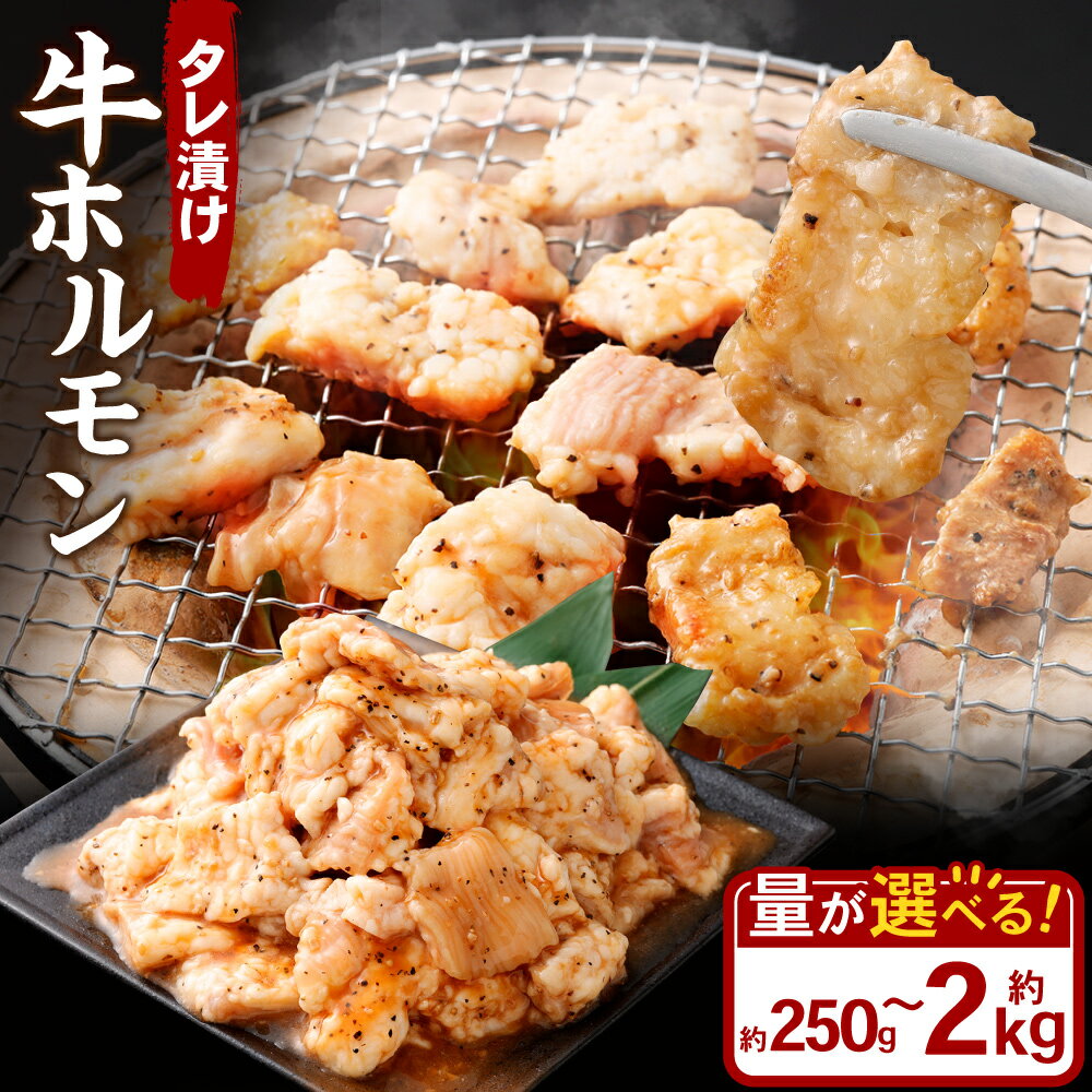 【ふるさと納税】＜選べる容量＞ タレ漬け 牛ホルモン 250g 500g 1.0kg 1.5kg 2.0kg 1パック～8パック 1パックあたり250g 小分け 牛肉 牛 お肉 肉 味付き たれ タレ ホルモン 焼き肉 焼肉 冷凍 岡山県 奈義町 送料無料