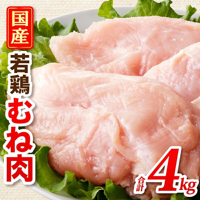 【ふるさと納税】国産若どりむね肉4kg 宮崎県産 鶏肉 肉 鶏 鶏むね ムネ肉 若鶏 国産 高たんぱく ヘルシー ジューシー おかず おつまみ 料理 普段使い アレンジ スープ 煮込み 蒸し料理 蒸し鶏 揚げ物 唐揚げ チキン南蛮 棒棒鶏 ピカタ 冷凍 パック 宮崎県 宮崎市 送料無料