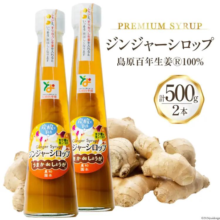 AI201 ジンジャー シロップ 250g 2本 計500g [ 生姜 しょうが ショウガ ジンジャーエール ジンジャーハイボール 松本農園 人作 長崎県 島原市 ]