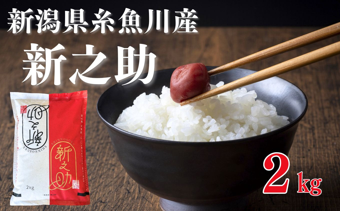 
            【令和7年産新米】新之助 2kg 早川の清流が育んだ美味しいお米 新潟県糸魚川産 2025年 磯貝農場【しんのすけ 米 お米 こめ ご飯 ライス ふるさと納税米 食品 人気 おすすめ お弁当 おにぎり ギフト 新潟県の新しいブランド米 農家直送 5キロ 精米】
          