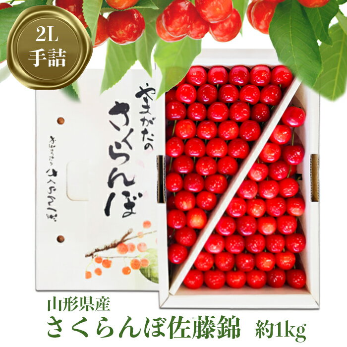 【ふるさと納税】＼高評価★4.7以上／ 大粒 贈答用 佐藤錦 1kg 「秀品」 山形 の さくらんぼ (2L玉・化粧箱入り・手詰め)【2025年6月発送分先行受付】 先行予約 ふるさと納税 さくらんぼ ふるさと納税 さくらんぼ 佐藤錦 ふるさと 人気 令和7年 2025 H040(R7)