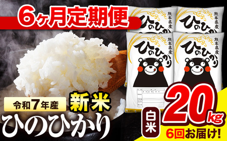 令和7年産 白米 【6ヶ月定期便】 ひのひかり 20kg《お申込み翌月から出荷》 熊本県産 白米 精米 氷川町 ひの 送料無料 ヒノヒカリ コメ 便利 ブランド米 お米 おこめ 熊本