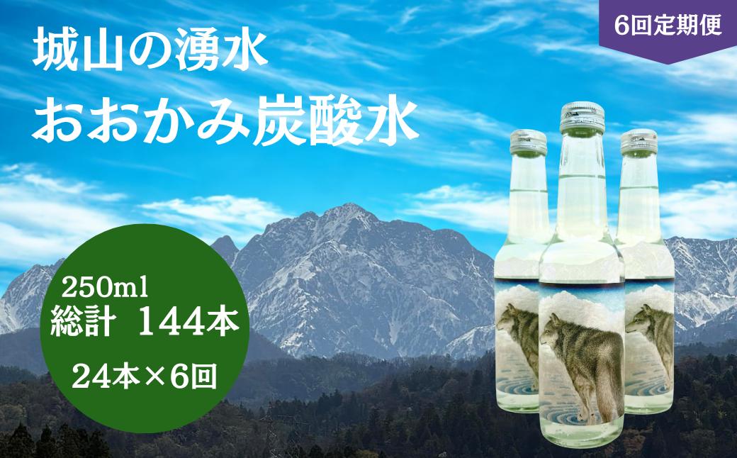 
                  炭酸水 【6回 定期便】 おおかみ炭酸水 250ml×24本 総計 144本 [城山の湧水 富山県 上市町 32280277-r6] 炭酸水 タンサンスイ たんさんすい 湧水 湧き水 スパークリングウォーター 軟水 長期保存
                