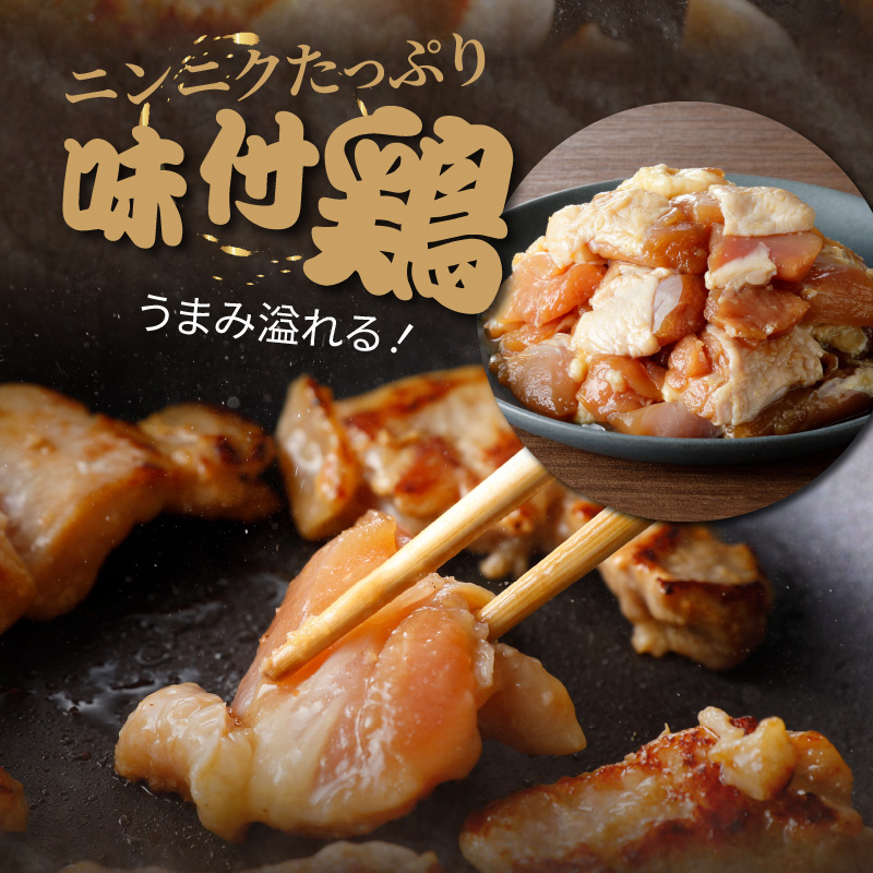 中尾商店の焼肉セット N001-YZA153