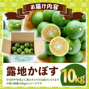＜先行予約受付中！2025年8月上旬～2026年2月下旬ごろ順次発送予定＞露地カボス(約10kg)かぼす カボス 柑橘 特産品 大分県産【107100801】【あいはな農園】