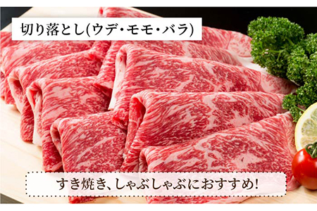 【肉のプロが厳選！】【全6回】佐賀県産和牛 極上定期便【株式会社いろは精肉店】 [IAG072]