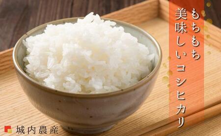 南魚沼産コシヒカリ 無洗米５ｋｇ 【５割減農薬栽培米】城内農産　令和７年