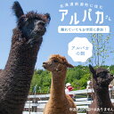 【ふるさと納税】アルパカのエサ [ビバカンパニー 北海道 剣淵町 14656231]