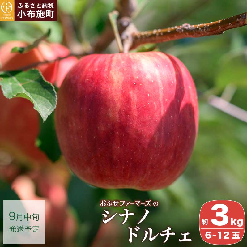 【ふるさと納税】先行受付 シナノドルチェ 約3kg 6〜12玉 ［ おぶせファーマーズ ］ 数量限定 期間限定 果物類 林檎 りんご リンゴ フルーツ 長野県産 信州産 令和8年産 【2026年9月中旬～下旬発送】