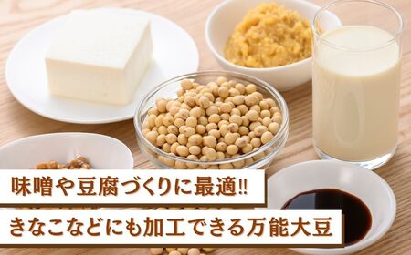 大豆 10kg 豆 イソフラボン おやつ おつまみ 味噌作り | 石川県 小松市 JAあぐり