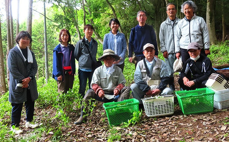 下草井銘茶「鷹の爪」1袋