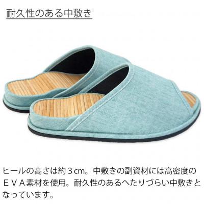 ふるさと納税 宮城県 スリッパ Dセノーテロゼッタ極 Lサイズ グリーン |  | 03