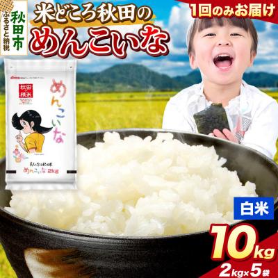 ふるさと納税 秋田市 めんこいな【白米】秋田県産 10kg(2kg×5袋)|15_zna-051001h