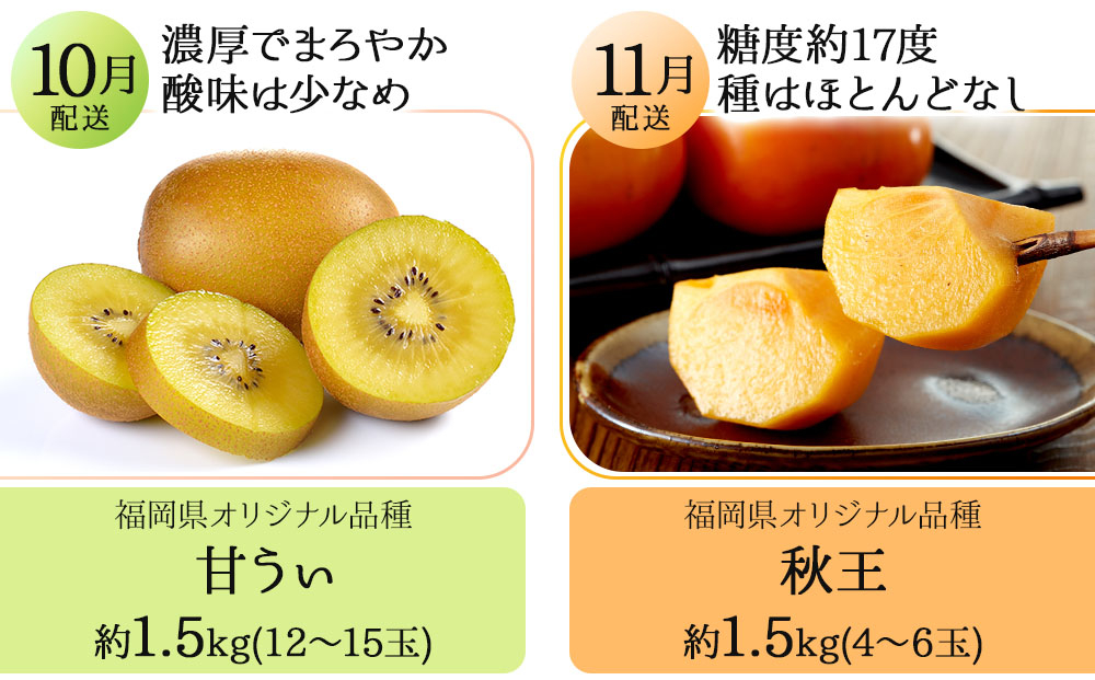 ＜5回定期便＞福岡ブランドの旬のフルーツ定期便 (篠栗町)｜イチジク ミカン キウイ 柿 イチゴ【NF019】