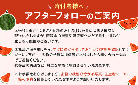 1115.鳥取県産 大玉スイカ 訳あり 1玉 6-9キロ前後L-3L（こちらの返礼品は、大栄西瓜ではありません）