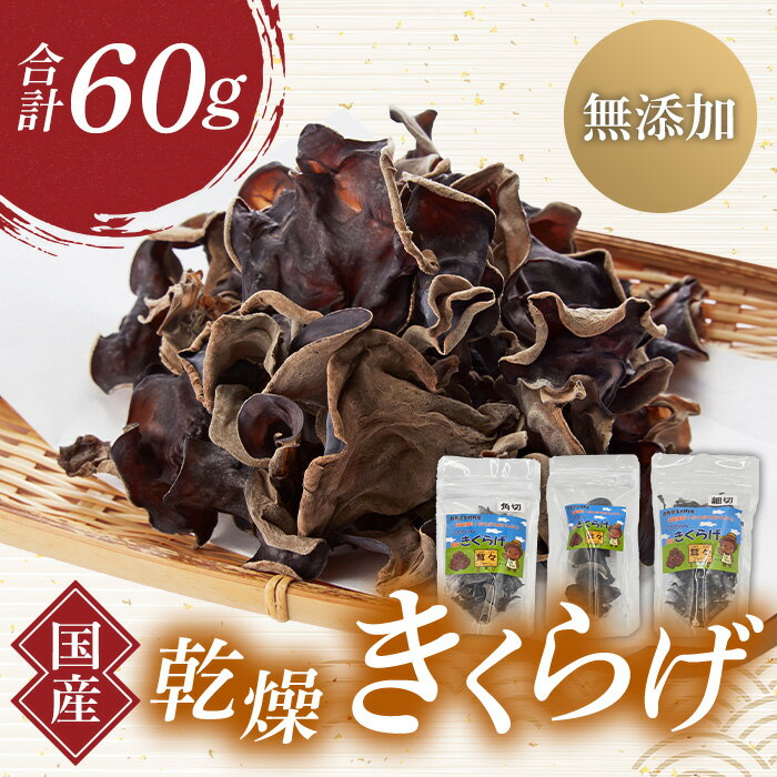 【ふるさと納税】群馬県産 乾燥きくらげ (こたちゃんきくらげ)セット 60g 無添加 無農薬 国産