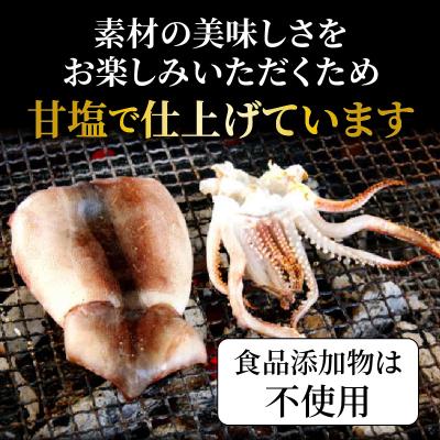 ふるさと納税 国東市 サイズは不揃いでも味は逸品!肉厚するめ烏賊一夜干し_1511R |  | 01