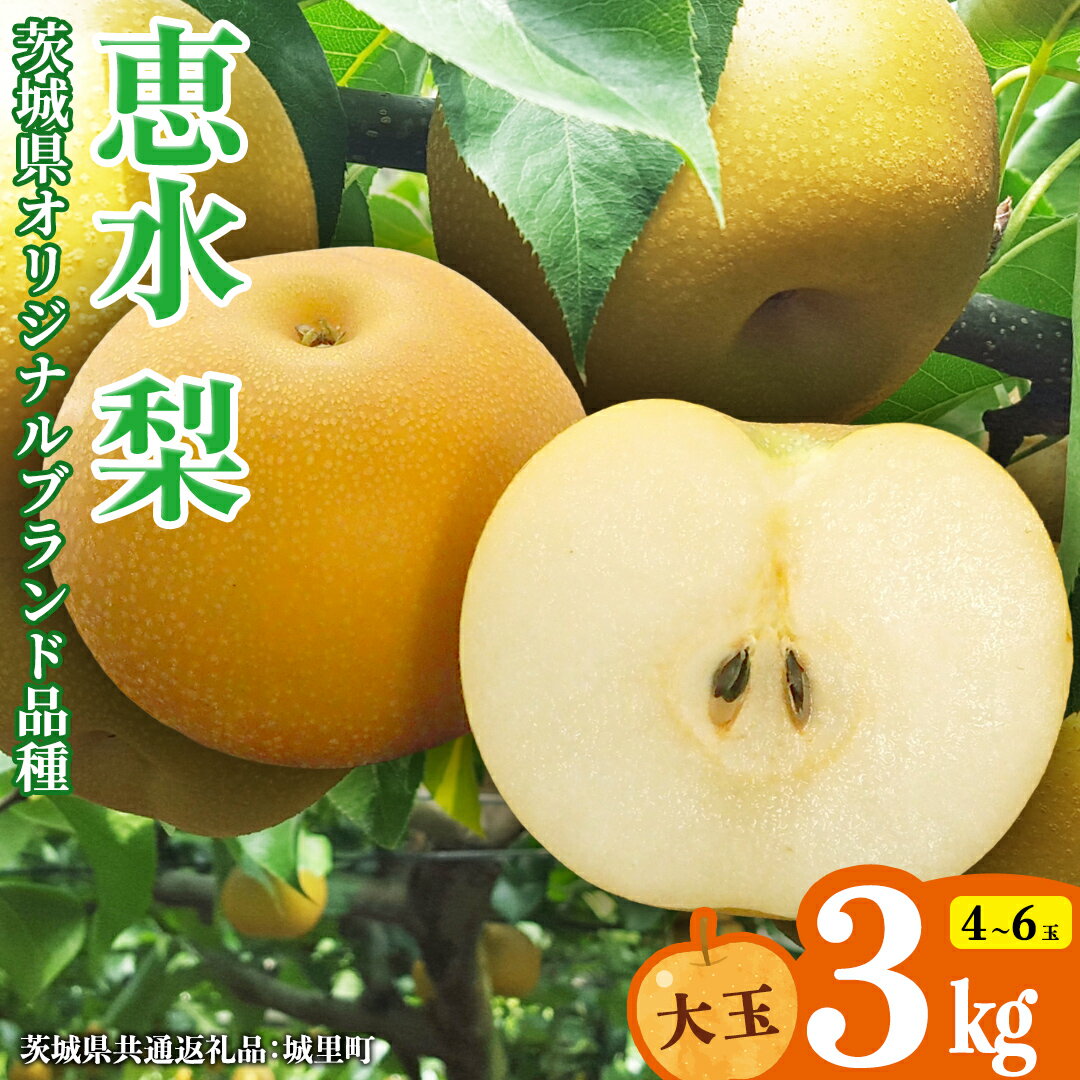 【ふるさと納税】恵水梨 約3kg 4玉～6玉 (茨城県共通返礼品:城里町) 2026年 梨 なし 和梨 フルーツ 甘い オリジナル 大玉 直送 茨城 限定