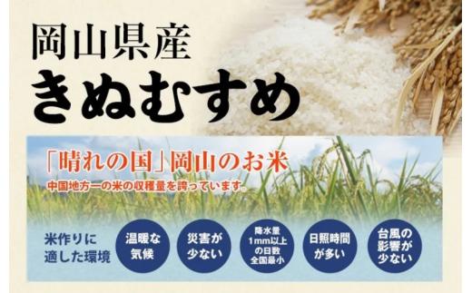 ＜定期便全3回＞令和7年新米 真庭市産きぬむすめ 白米 5kg×3回 / お米 国産 岡山県 米 きぬむすめ 人気 ブランド 2025年産 【tkns-tkb013】